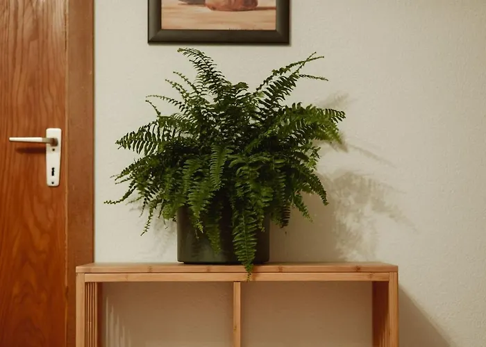 Moderne Mit 2 Schlafzimmer Апартаменты Бретцфельд